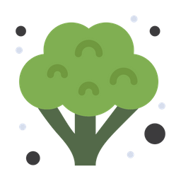 Broccoli  Icon