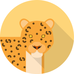 Leopard  Symbol