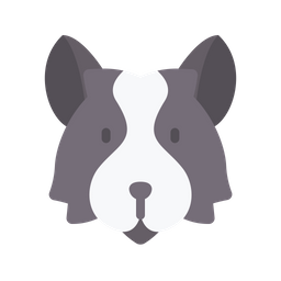 Border collie  Icon