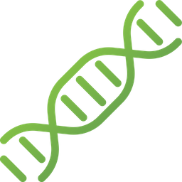 Dna Structure  Icon