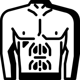 Abs Icon