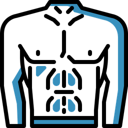 Abs Icon