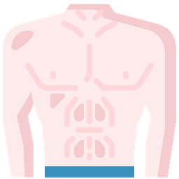 Abs Icon