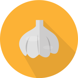 Onion  Icon