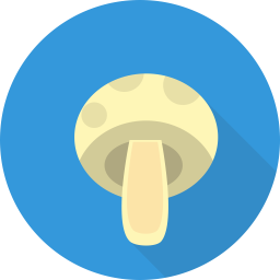 Mushroom  Icon