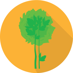 Celery  Icon