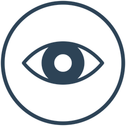 Eye  Icon