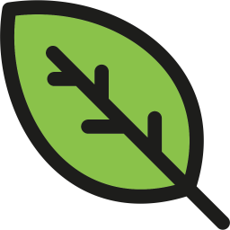 Leaf  Icon