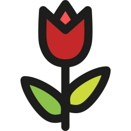 Tulip  Icon