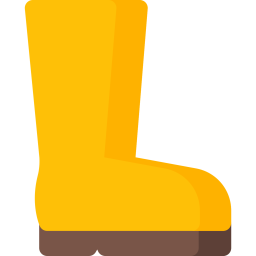 Boot  Icon