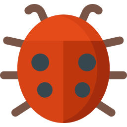 Ladybug  Icon