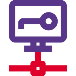 Computer Key Network  Icon