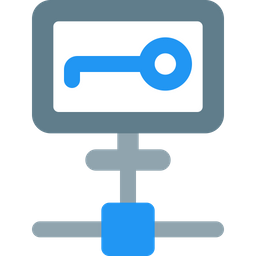 Computer Key Network  Icon