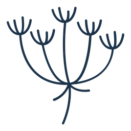 Fennel Flower  Icon