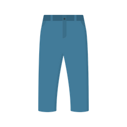 Pants  Icon