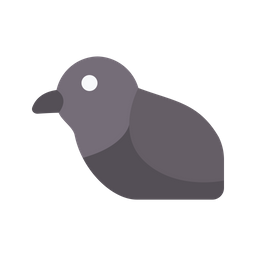 Bird  Icon