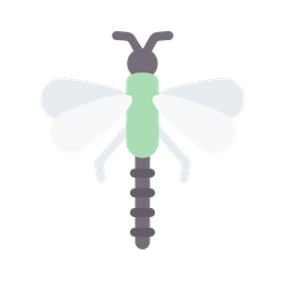 Dragonfly  Icon