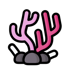 Coral  Icon