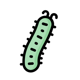 Cucumber  Icon