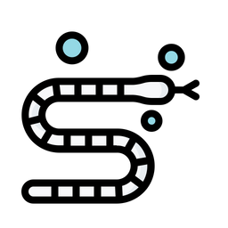 Eel Fish  Icon