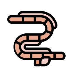 Eel Fish  Icon