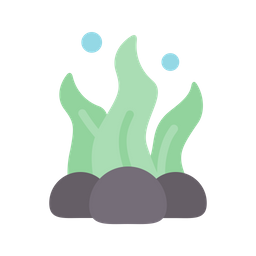 Algae  Icon