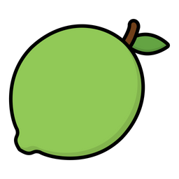 Lime  Icon