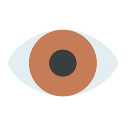 Eye  Icon