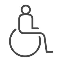 Handicap  Icon