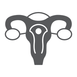 Uterus  Icon