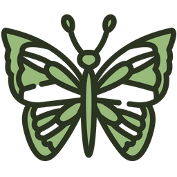 Butterfly  Icon