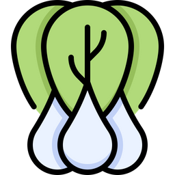 Bok choy  Icon