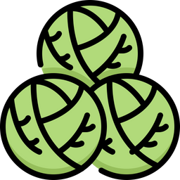 Brussels sprouts  Icon