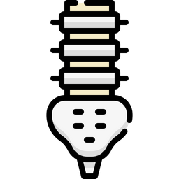 Backbone  Icon