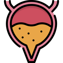 Bladder  Icon