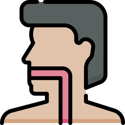 Esophagus  Icon