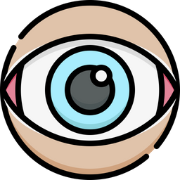 Eye  Icon