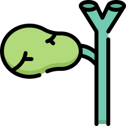 Gallbladder  Icon