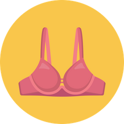 Bra  Icon