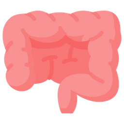 Intestines  Icon