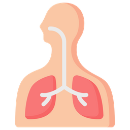 Respiratory  Icône