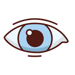 Eye  Icon