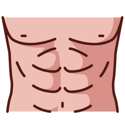 Abdomen  Icon