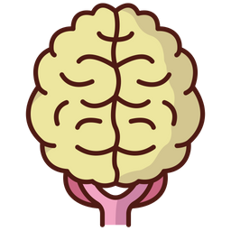 Brain  Icon