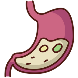 Gastric  Icon