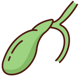 Gallbladder  Icon