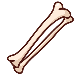 Bone  Icon