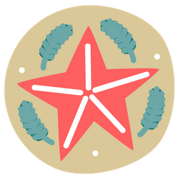 Decorative Star  Icon