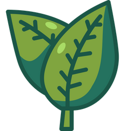 Leaf  Icon