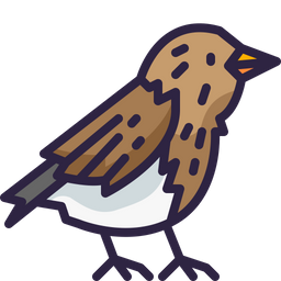 Bird  Icon